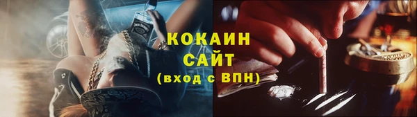 прущие грибы Алексеевка