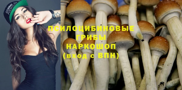 прущая мука Алексин
