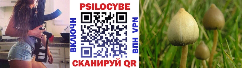 как найти   Анапа  Псилоцибиновые грибы мицелий 