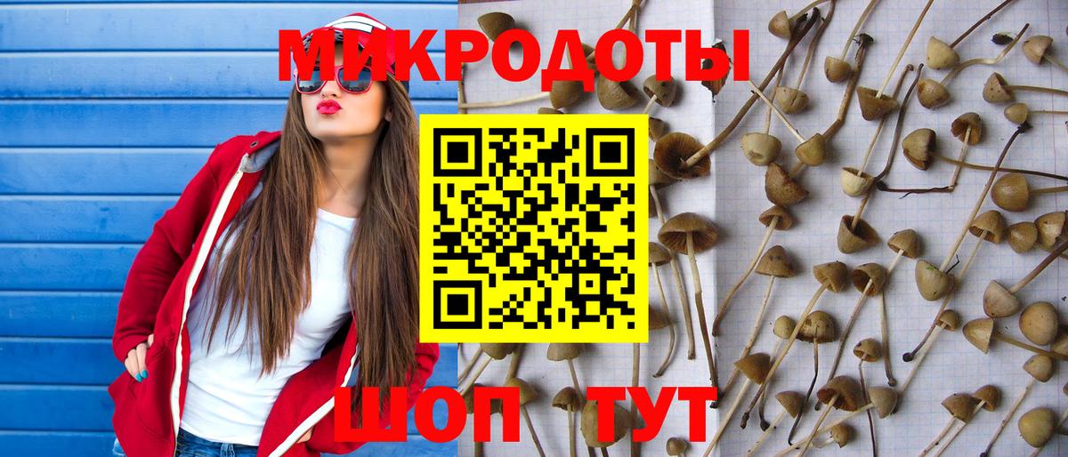 Псилоцибиновые грибы Magic Shrooms Анапа