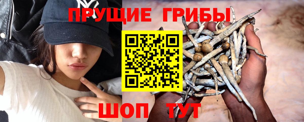 Псилоцибиновые грибы Psilocybine cubensis  Галлюциногенные грибы Cubensis  продажа наркотиков  Вход с VPN  Анапа 